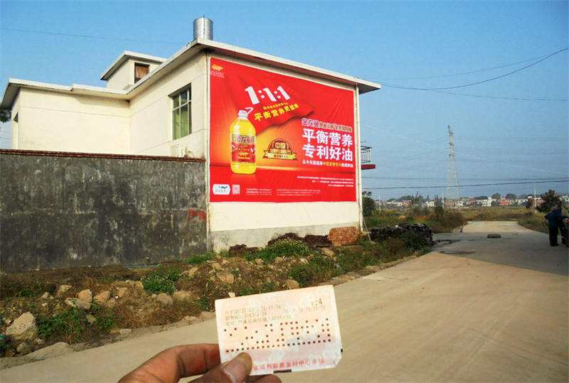 金龙鱼.JPG